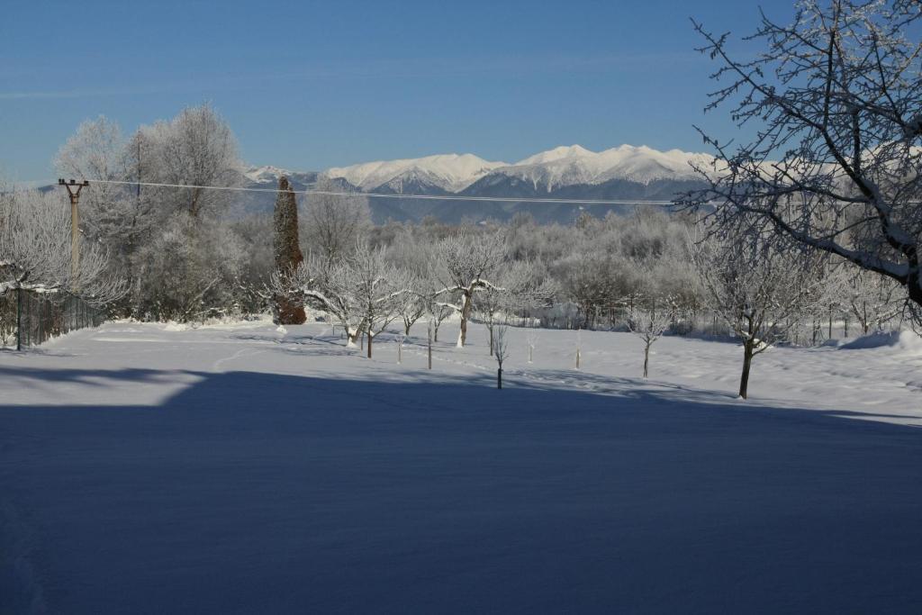 Skipension Jasna Pavčina Lehota Extérieur photo